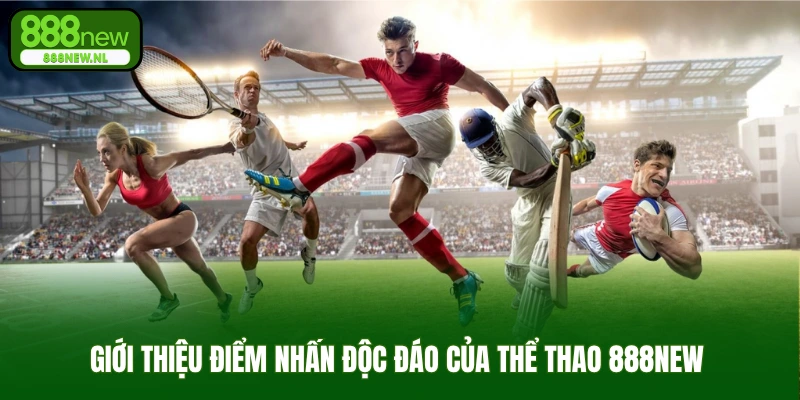 Giới thiệu điểm nhấn độc đáo của thể thao 888new 