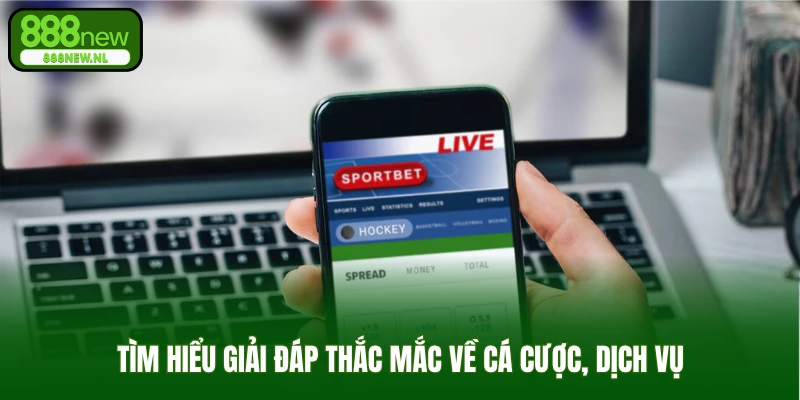 Tìm hiểu giải đáp thắc mắc về cá cược, dịch vụ